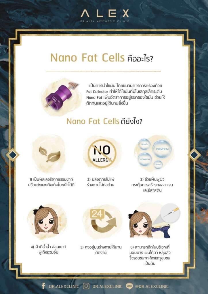 Nano Fat Cells